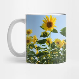 colorful, blooming sunflowers, sunflower, flowers Mug